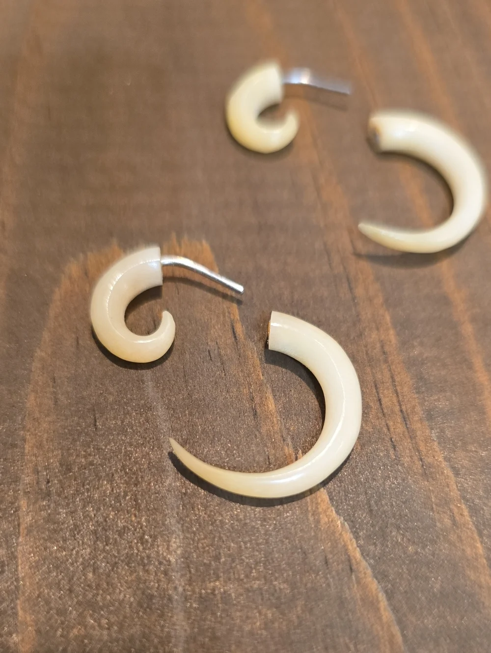 Earthbound Earrings